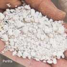 Substrato Cultivo Grow Indoor Completo 5 Litros + Brinde