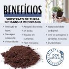 Substrato De Turfa Sphagnum Importada Premium 3 Litros