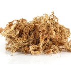 Substrato Musgo Sphagnum Única (100g) Nutriplan
