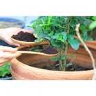 Substrato Orgânico Terra Adubada 3kg - Pronto Uso Plantio