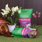 Substrato para Orquídea Pottingmix 500g Terral