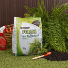 Substrato para Samambaias 2kg Forth