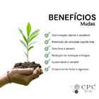 Substrato Preparado Para Mudas Com Turfa e Perlita CPC Garden