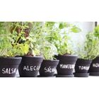 Substrato Preparado Para Mudas Com Turfa E Perlita CPC Garden