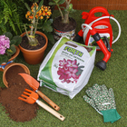 Substrato Rosa do Deserto 2kg Forth