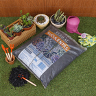 Substrato Suculentas 15kg TERRAL