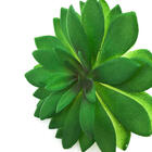 Suculenta Artificial Md1