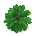 Suculenta Artificial Md1