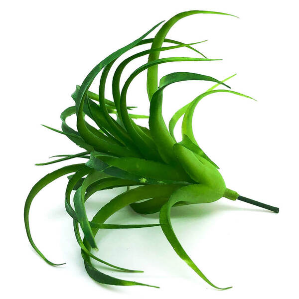 Suculenta Artificial Md2