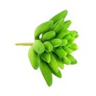 Suculenta Dedo De Moça Em Silicone Verde Claro