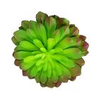 Suculenta Echeveria Em Silicone Verde E Roxa