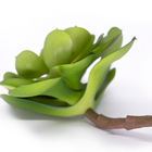 Suculenta Planta Artificial Verde 14x16 Cm - D'rossi