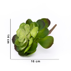 Suculenta Planta Artificial Verde 14x16 Cm - D'rossi