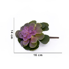 Suculenta Planta Artificial Verde E Rosa 14x16 Cm - D'rossi
