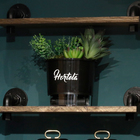 Suculenta Premium 24cm