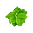 Suculenta Rosa De Pedra Em Silicone Verde