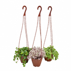 Suculentas c 13 pendente