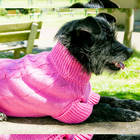 Suéter Para Cachorro Roupa De Frio Grife Pet Malha Croché Pin