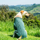 Suéter Para Cachorro Roupa De Frio Malha Grife Pet Cães Verde