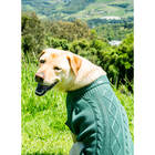 Suéter Para Cachorro Roupa De Frio Malha Grife Pet Cães Verde