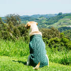 Suéter Para Cachorro Roupa De Frio Malha Grife Pet Cães Verde