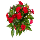 Sunpatiens Pote 13