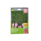 Super Grama-bermuda Bermuda Folha Fina Isla