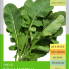 Super Rucula Donatella Folha Larga - Isla