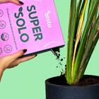 Super Solo Orgânico Para Plantio (2l) Brota