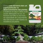 Superthrive Bonsai 236ml 7n9p2o55k2o+12micros Pr0008206000048