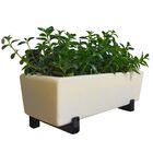 Suporte De Ferro Jardim Vertical + Jardineira P/ Plantas Bege