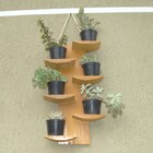 Suporte De Parede Para Suculentas / Cactos Modelo Meia Lua Co