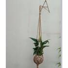 Suporte De Parede Tipo A Para Plantas (25cm) Jc Jardim