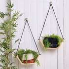 Suporte De Planta Pendente - Kit Com 2 Unidades