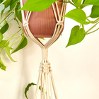 Suporte Para Planta Duplo