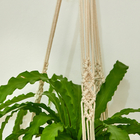 Suporte Para Planta Macrame 2 Em 1