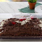 Suporte Para Torta Porta Bolo Boleira Retangular Com Tampa