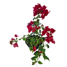 Suporte para Vaso 30x12cm em Aço Preto Tutor de Plantas Tguia Pequeno Massol