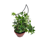 Suporte para Vaso 50x20cm em Aço Preto Tutor de Plantas Lua Massol