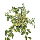 Suporte para Vaso 50x7cm em Aço Preto Tutor de Plantas Massol