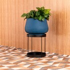 Suporte para Vaso em Aço 50x25cm Preto Oficina Agra Médio Vasap