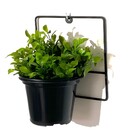 Suporte para Vaso de Parede Aço 20x20x15cm Single Alambre