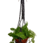 Suporte Para Vasos Em Macramê Epóe Na Cor Preta