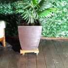 Suporte Para Vasos Planta Madeira Com Rodizios Gel 50x50