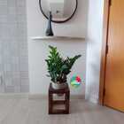 Suporte Para Vasos Sv6