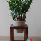 Suporte Para Vasos Sv6