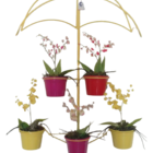 Suporte Plantas Guarda Chuva Amarelo 5 Vasos