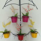 Suporte Plantas Guarda Chuva Preto 5 Vasos