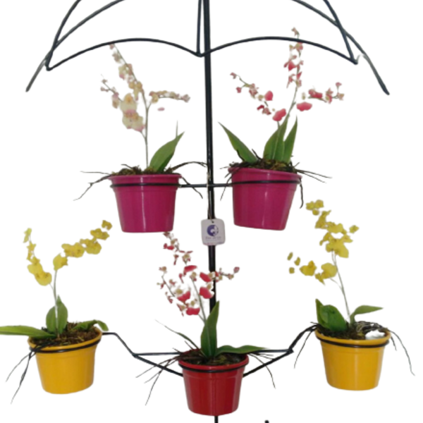 Suporte Plantas Guarda Chuva Preto 5 Vasos