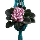 Suporte Plantas Macramê Azul